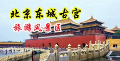 女大学生扣逼视频网站无马赛克中国北京-东城古宫旅游风景区